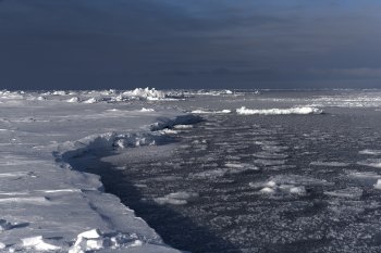 Молодые льды на трассе Севморпути