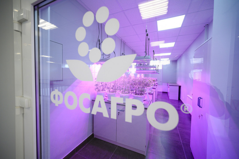 Заражённую монилиозной гнилью партию фруктов из Турции выявили в ...