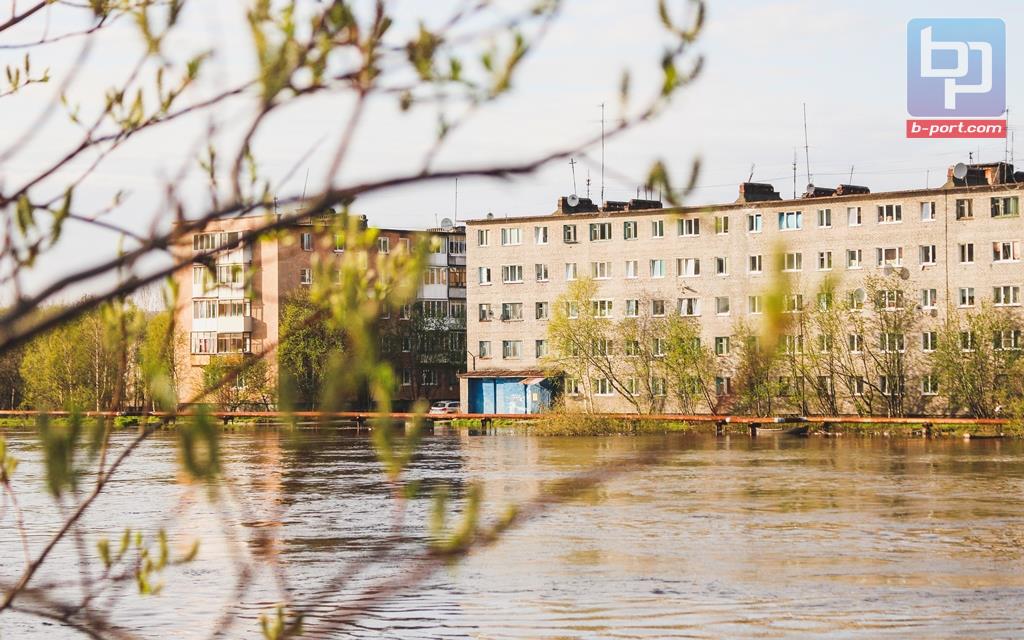Купить Квартиру В Шонгуй Мурманской Области